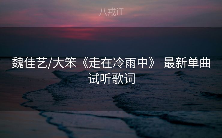 魏佳艺/大笨《走在冷雨中》 最新单曲试听歌词
