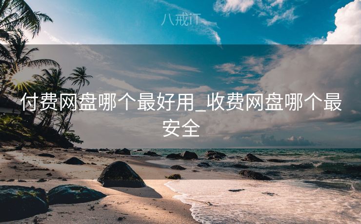 付费网盘哪个最好用_收费网盘哪个最安全