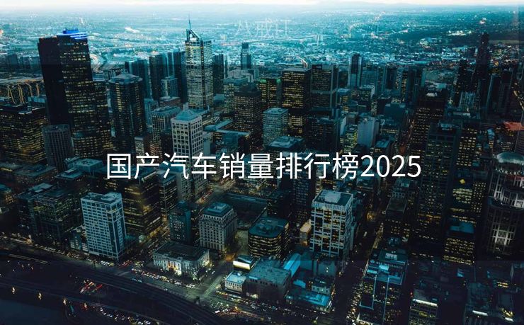 国产汽车销量排行榜2025