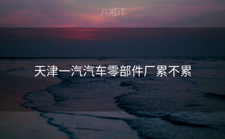 天津一汽汽车零部件厂累不累