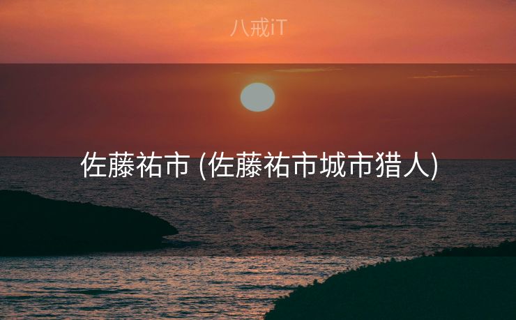 佐藤祐市 (佐藤祐市城市猎人)
