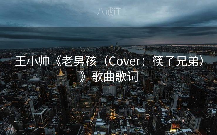 王小帅《老男孩（Cover：筷子兄弟）》歌曲歌词