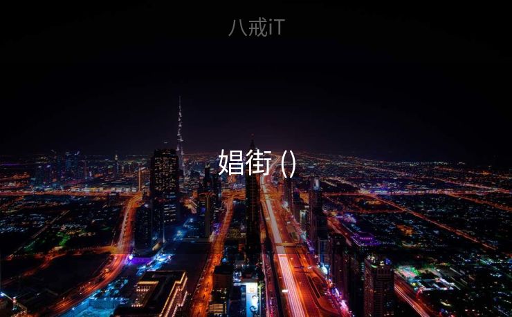 娼街 ()