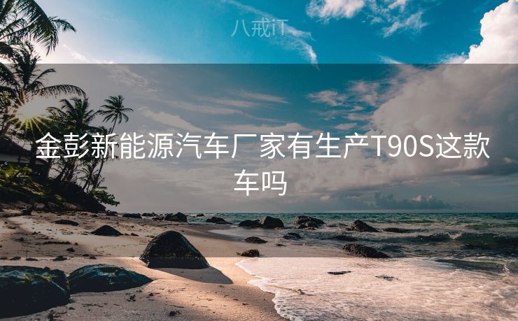  金彭新能源汽车厂家有生产T90S这款车吗