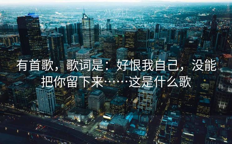 有首歌，歌词是：好恨我自己，没能把你留下来……这是什么歌