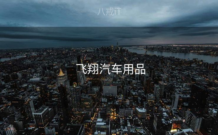  飞翔汽车用品