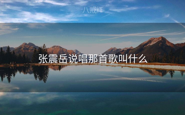 张震岳说唱那首歌叫什么