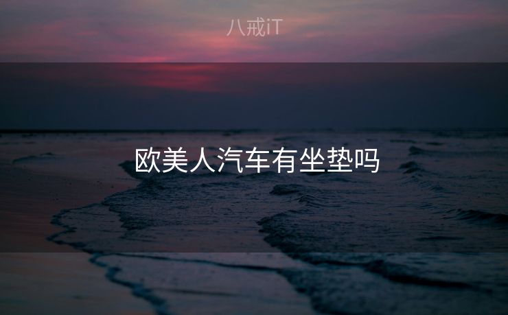  欧美人汽车有坐垫吗