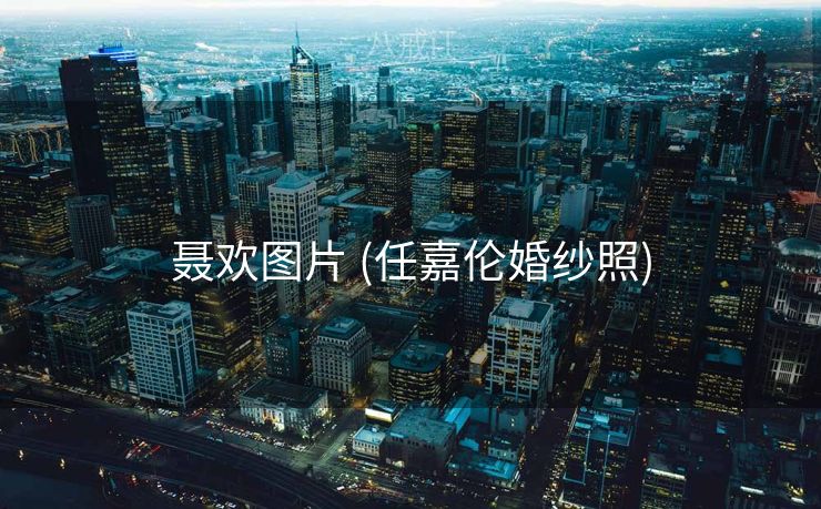聂欢图片 (任嘉伦婚纱照)