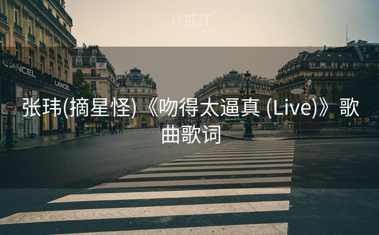 张玮(摘星怪)《吻得太逼真 (Live)》歌曲歌词