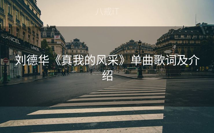 刘德华《真我的风采》单曲歌词及介绍