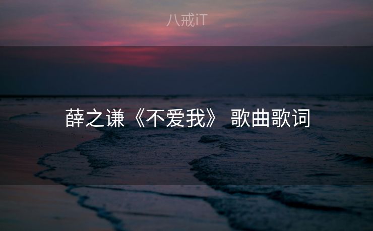 薛之谦《不爱我》 歌曲歌词
