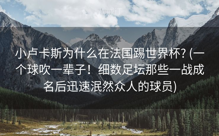 小卢卡斯为什么在法国踢世界杯? (一个球吹一辈子！细数足坛那些一战成名后迅速泯然众人的球员)