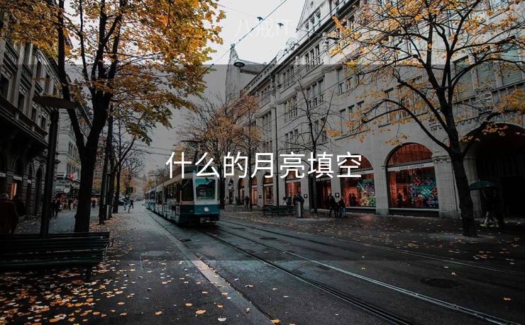 什么的月亮填空
