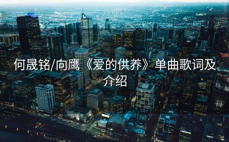 何晟铭/向鹰《爱的供养》单曲歌词及介绍