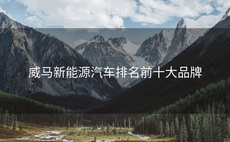 威马新能源汽车排名前十大品牌