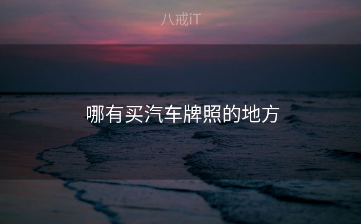  哪有买汽车牌照的地方