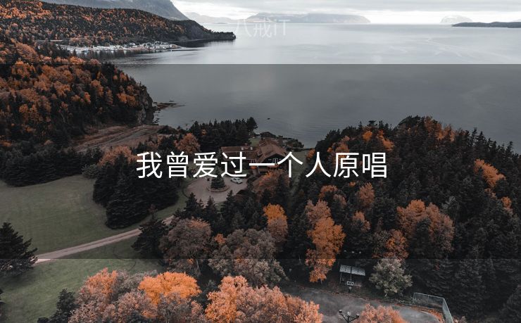 我曾爱过一个人原唱