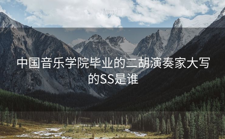 中国音乐学院毕业的二胡演奏家大写的SS是谁