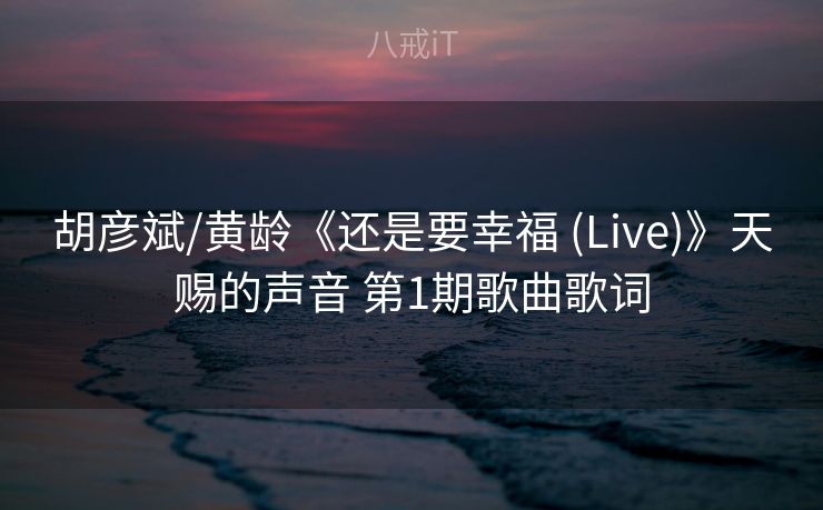 胡彦斌/黄龄《还是要幸福 (Live)》天赐的声音 第1期歌曲歌词
