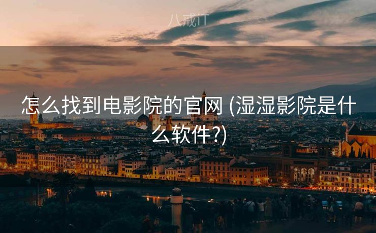 怎么找到电影院的官网 (湿湿影院是什么软件?)
