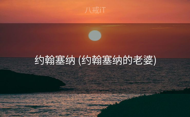 约翰塞纳 (约翰塞纳的老婆)