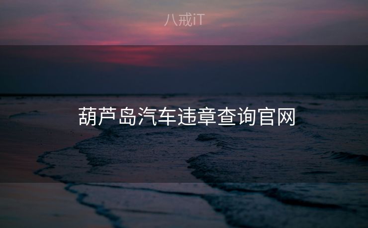  葫芦岛汽车违章查询官网