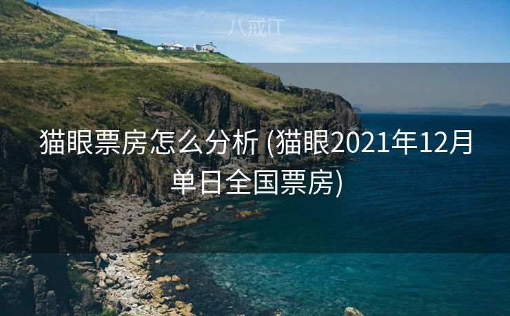 猫眼票房怎么分析 (猫眼2021年12月单日全国票房)
