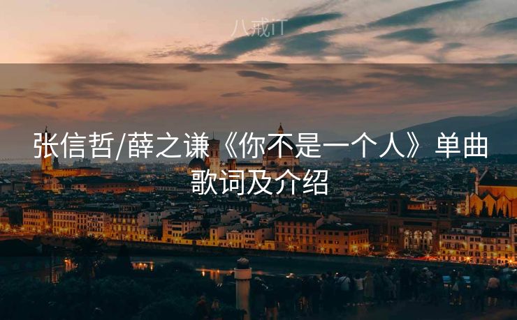 张信哲/薛之谦《你不是一个人》单曲歌词及介绍