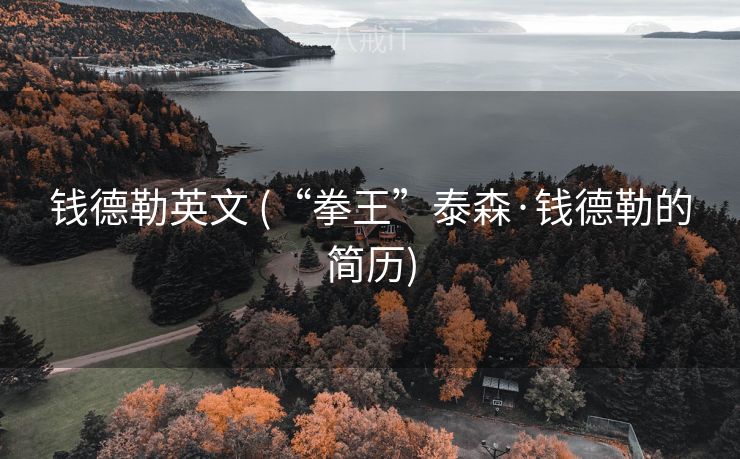 钱德勒英文 (“拳王”泰森·钱德勒的简历)