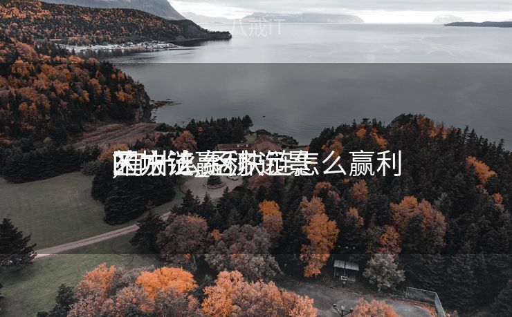 区块链赢利
的方法_区块链怎么赢利
,有什么经济远景
?