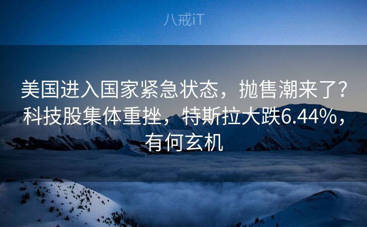 美国进入国家紧急状态，抛售潮来了？科技股集体重挫，特斯拉大跌6.44%，有何玄机