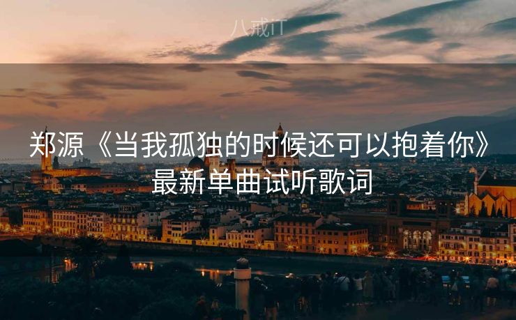 郑源《当我孤独的时候还可以抱着你》 最新单曲试听歌词