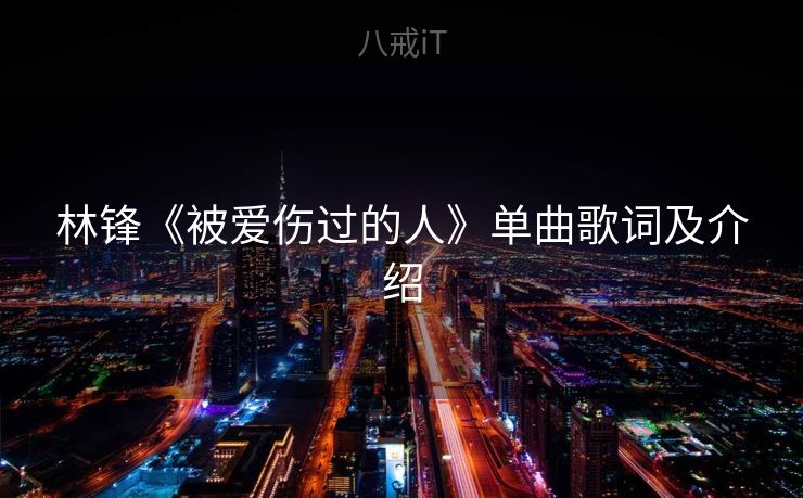 林锋《被爱伤过的人》单曲歌词及介绍
