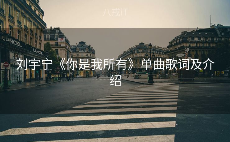 刘宇宁《你是我所有》单曲歌词及介绍