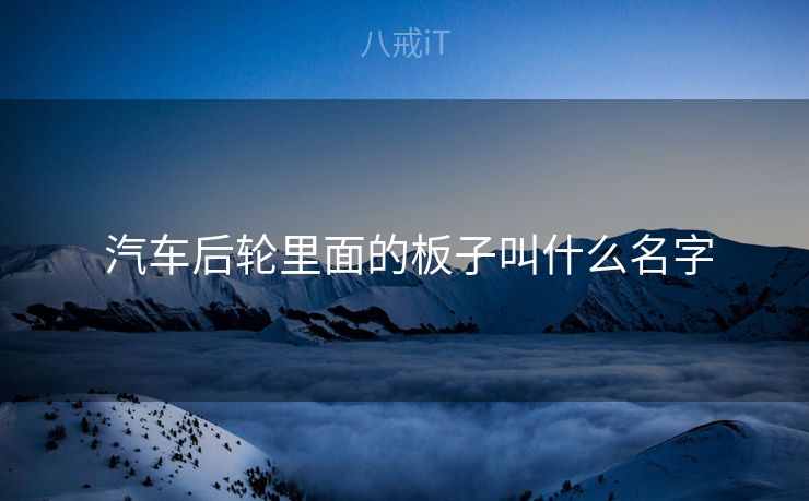  汽车后轮里面的板子叫什么名字
