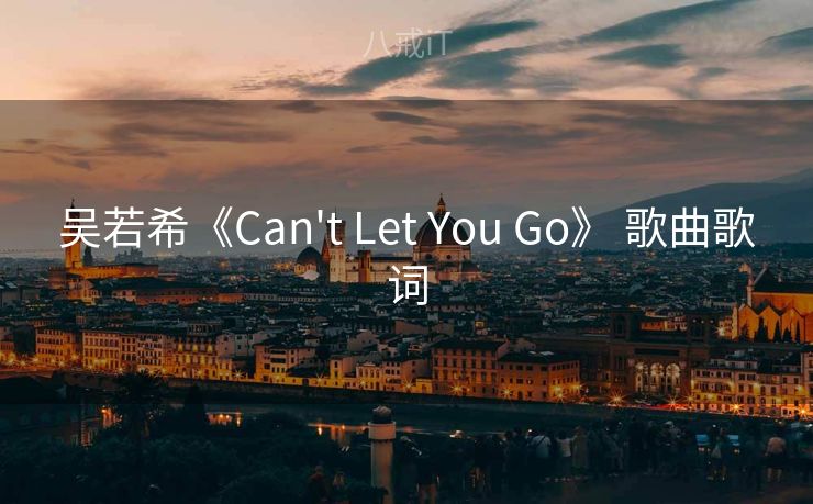 吴若希《Can't Let You Go》 歌曲歌词