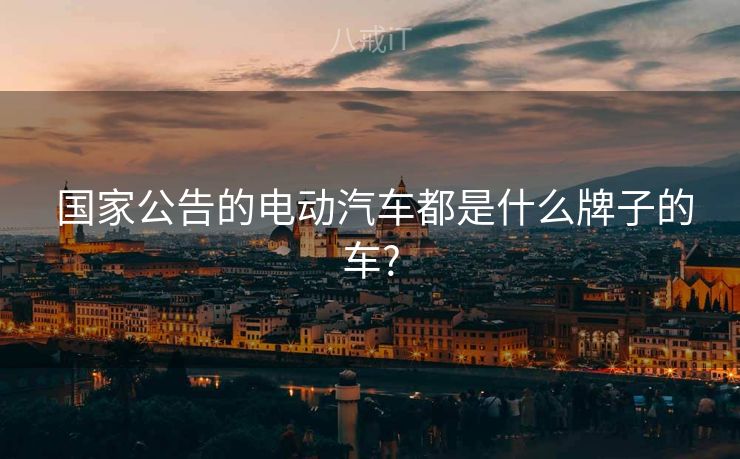  国家公告的电动汽车都是什么牌子的车?