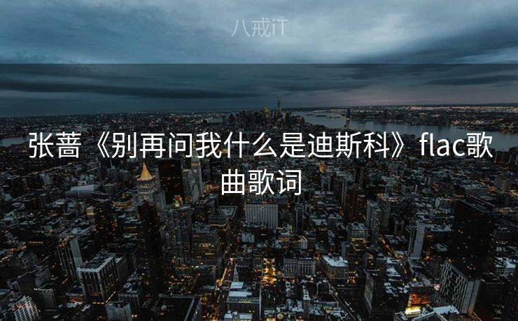 张蔷《别再问我什么是迪斯科》flac歌曲歌词