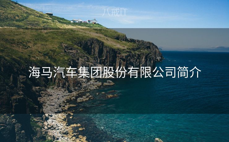 海马汽车集团股份有限公司简介