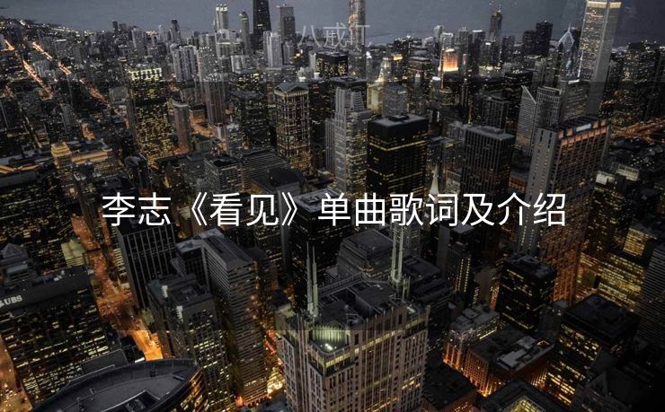 李志《看见》单曲歌词及介绍