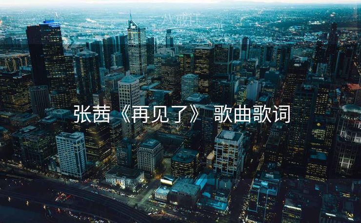 张茜《再见了》 歌曲歌词