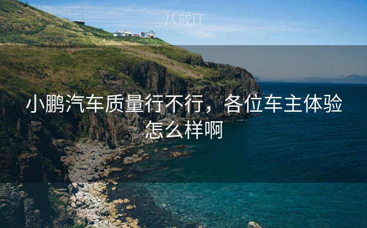小鹏汽车质量行不行，各位车主体验怎么样啊