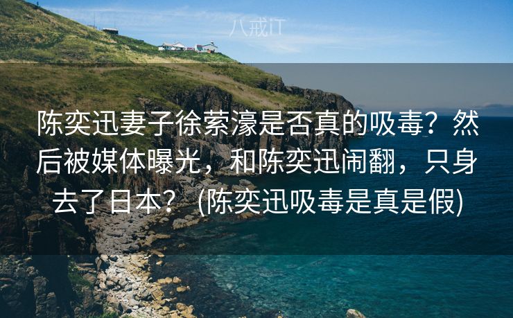 陈奕迅妻子徐萦濠是否真的吸毒？然后被媒体曝光，和陈奕迅闹翻，只身去了日本？ (陈奕迅吸毒是真是假)