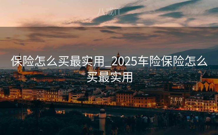 保险怎么买最实用_2025车险保险怎么买最实用