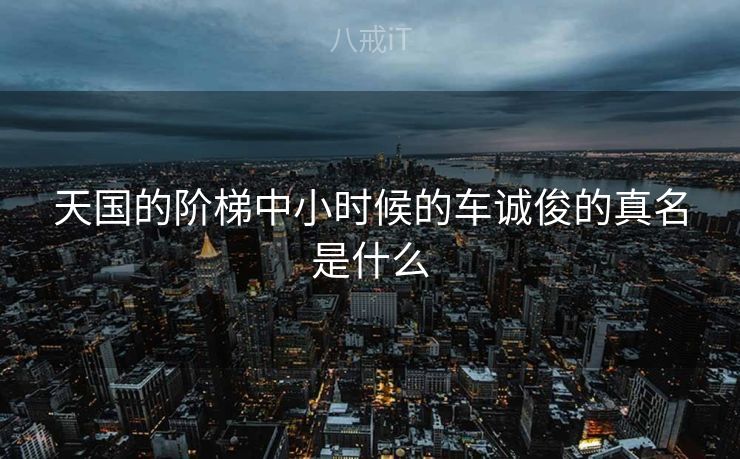 天国的阶梯中小时候的车诚俊的真名是什么