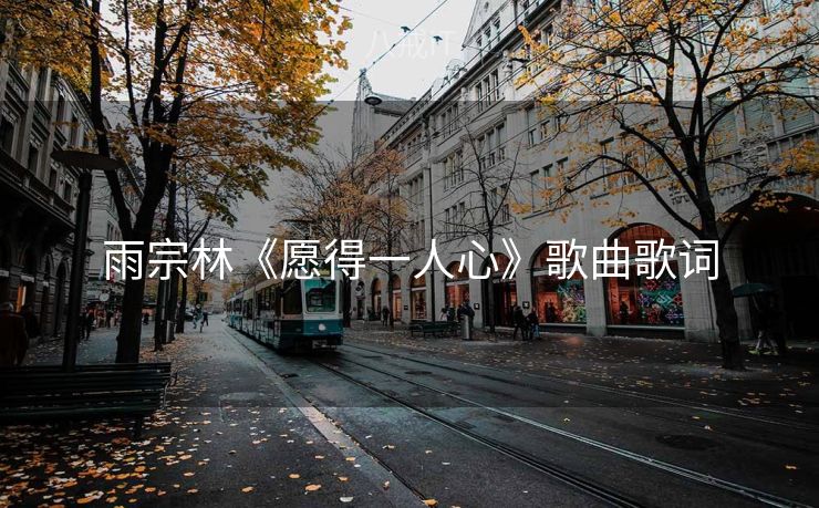 雨宗林《愿得一人心》歌曲歌词