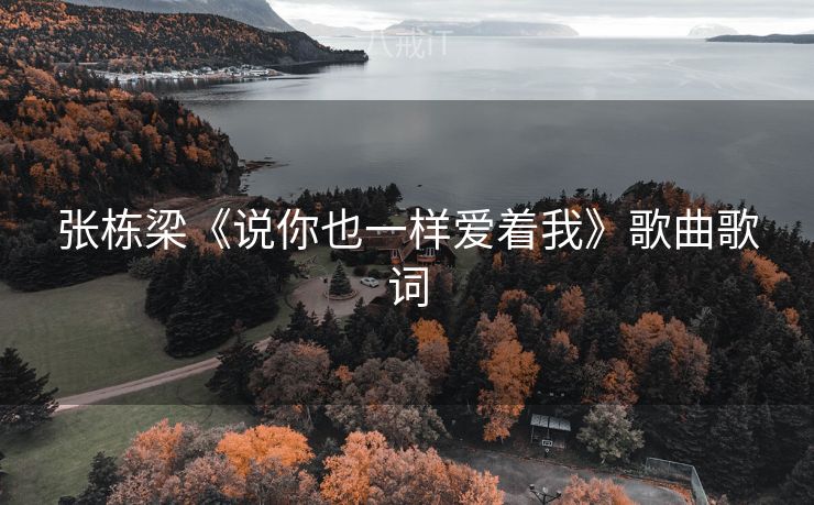 张栋梁《说你也一样爱着我》歌曲歌词