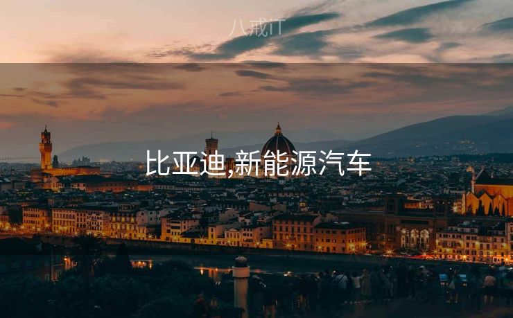 比亚迪,新能源汽车