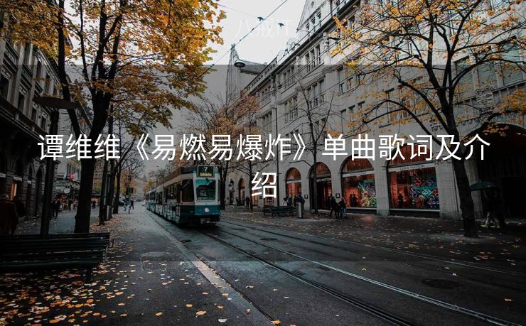 谭维维《易燃易爆炸》单曲歌词及介绍